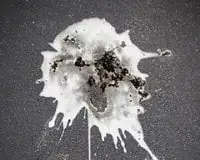Pigeon droppings commonly found on roofs, balconies and commercial buildings