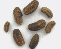 Ringtail possum droppings commonly found around Australian homes and roofs
