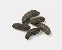 Rat droppings showing dark pellet-shaped faeces commonly found in Sydney properties