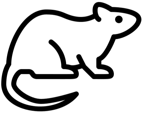 Solid black image filling the frame.