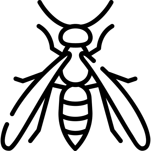 Wasp Icon