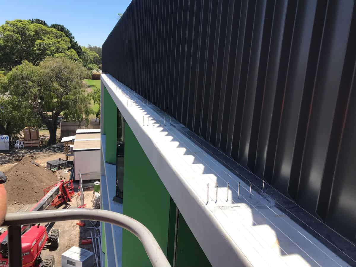 Building under construction with green walls, black cladding, exposed roof fasteners, Bird Wire Systems, and trees below.