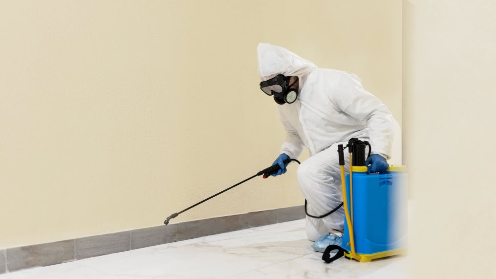 A person in protective gear uses a blue tank to spray pesticide along a tiled floor—showing General Pest Control Solutions.