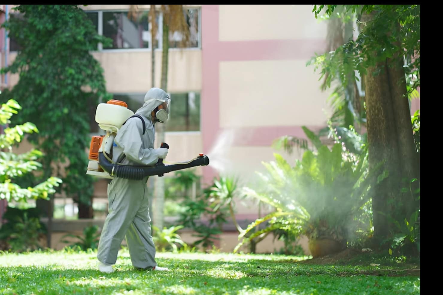 Home pest control Sydney—person in protective gear spraying disinfectant or pesticide in an outdoor garden near a building.