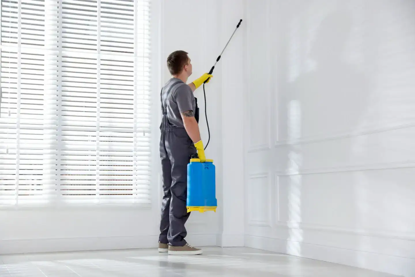 Person in work clothes spraying pest control liquid into corner of clean white wall in Kings Langley room.