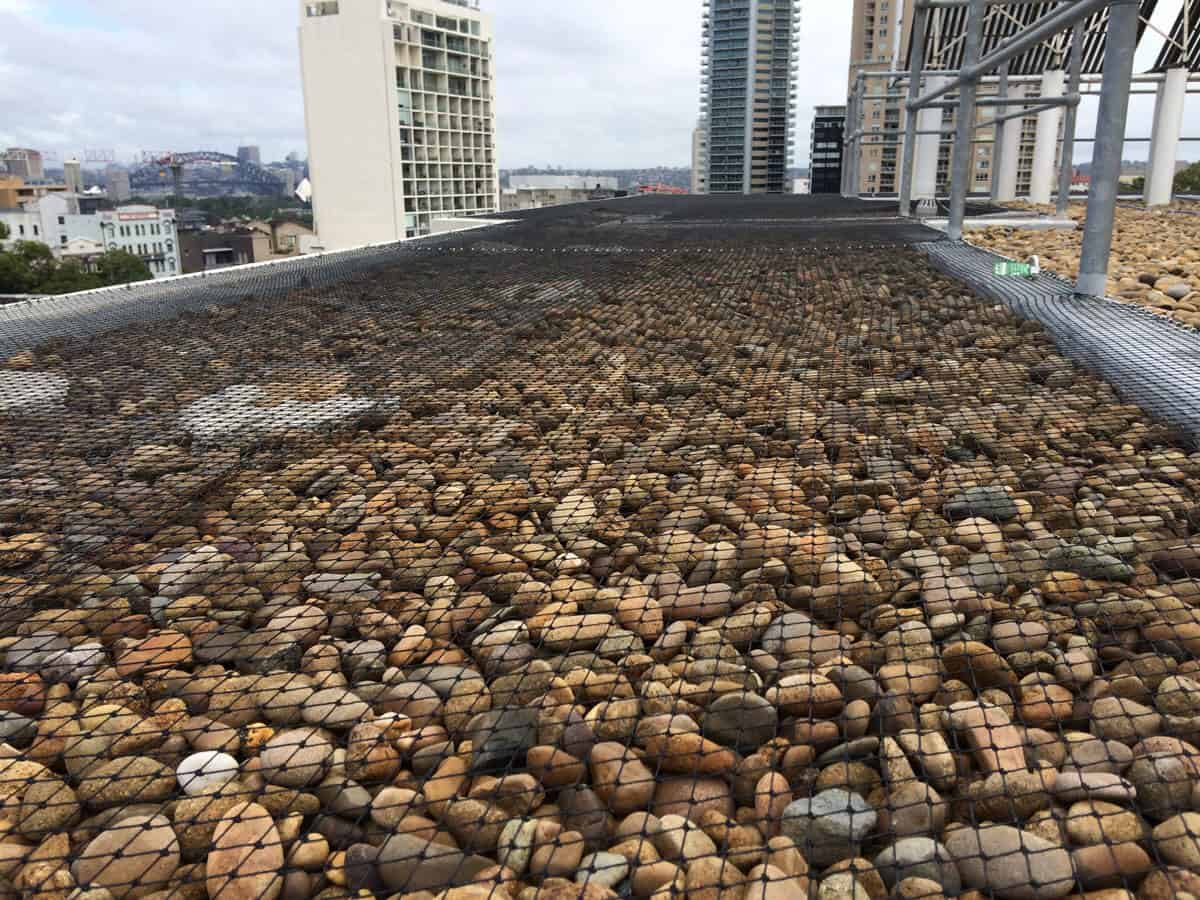 Rooftop with small rocks and black bird netting, set among tall urban buildings. Bird netting secures the roof area.