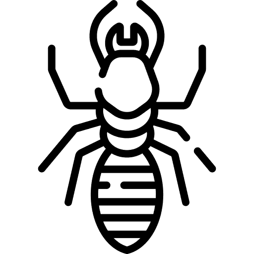 termite-icon