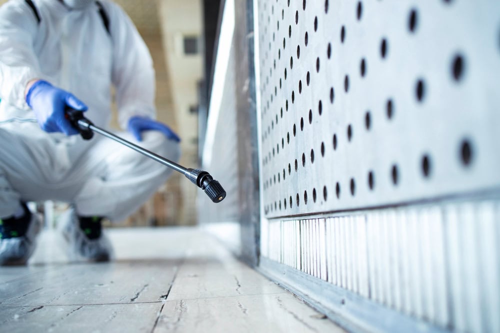 Person in protective gear sprays pesticide near wall, wearing gloves—ideal for thorough termite inspection & protection.