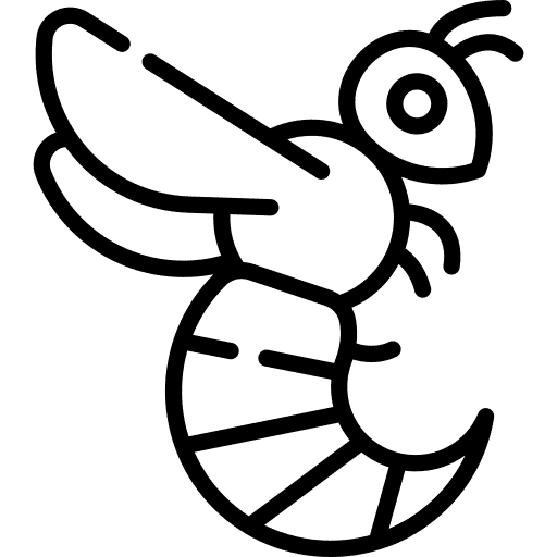 Solid black image (no visible content).