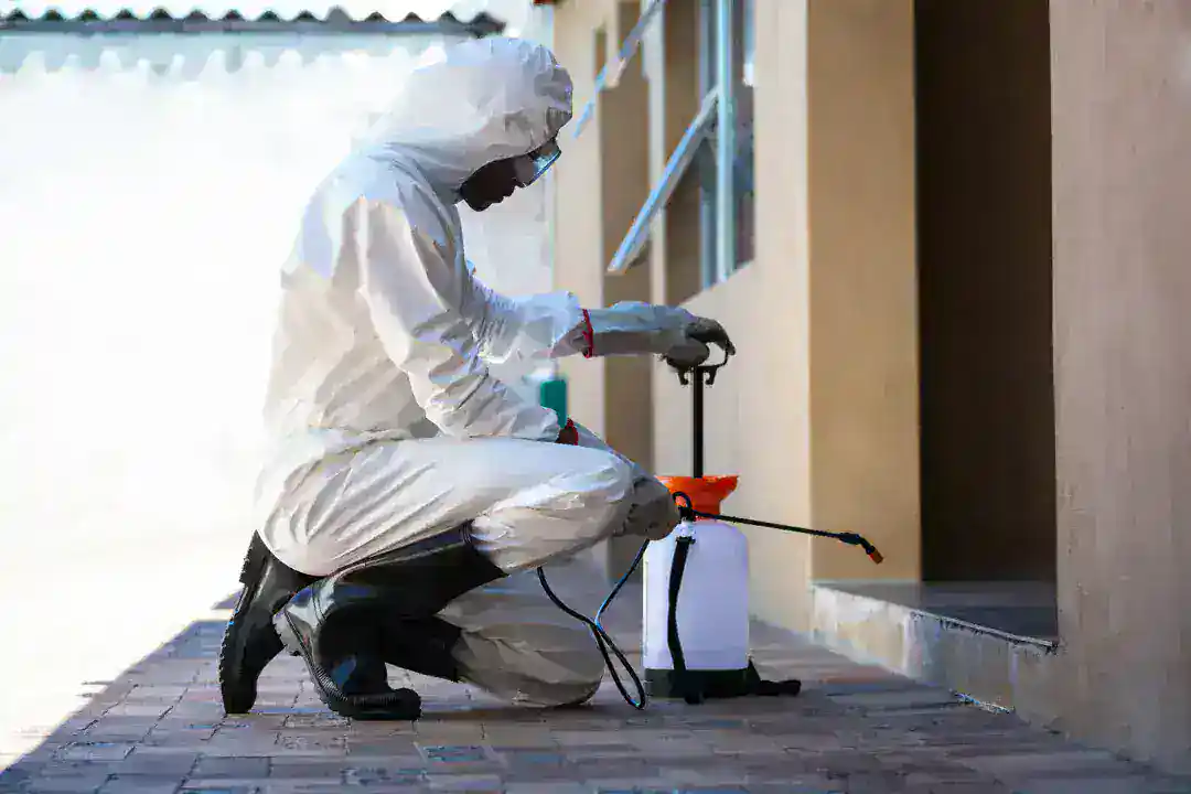 End of lease pest treatment service for rental property in Inner West