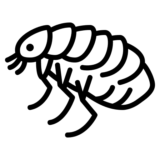 flea icon