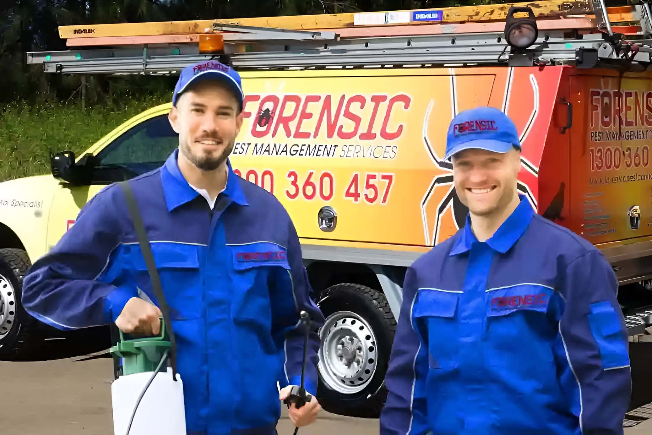 Professional pest management process carried out by licensed technicians in Baulkham Hills