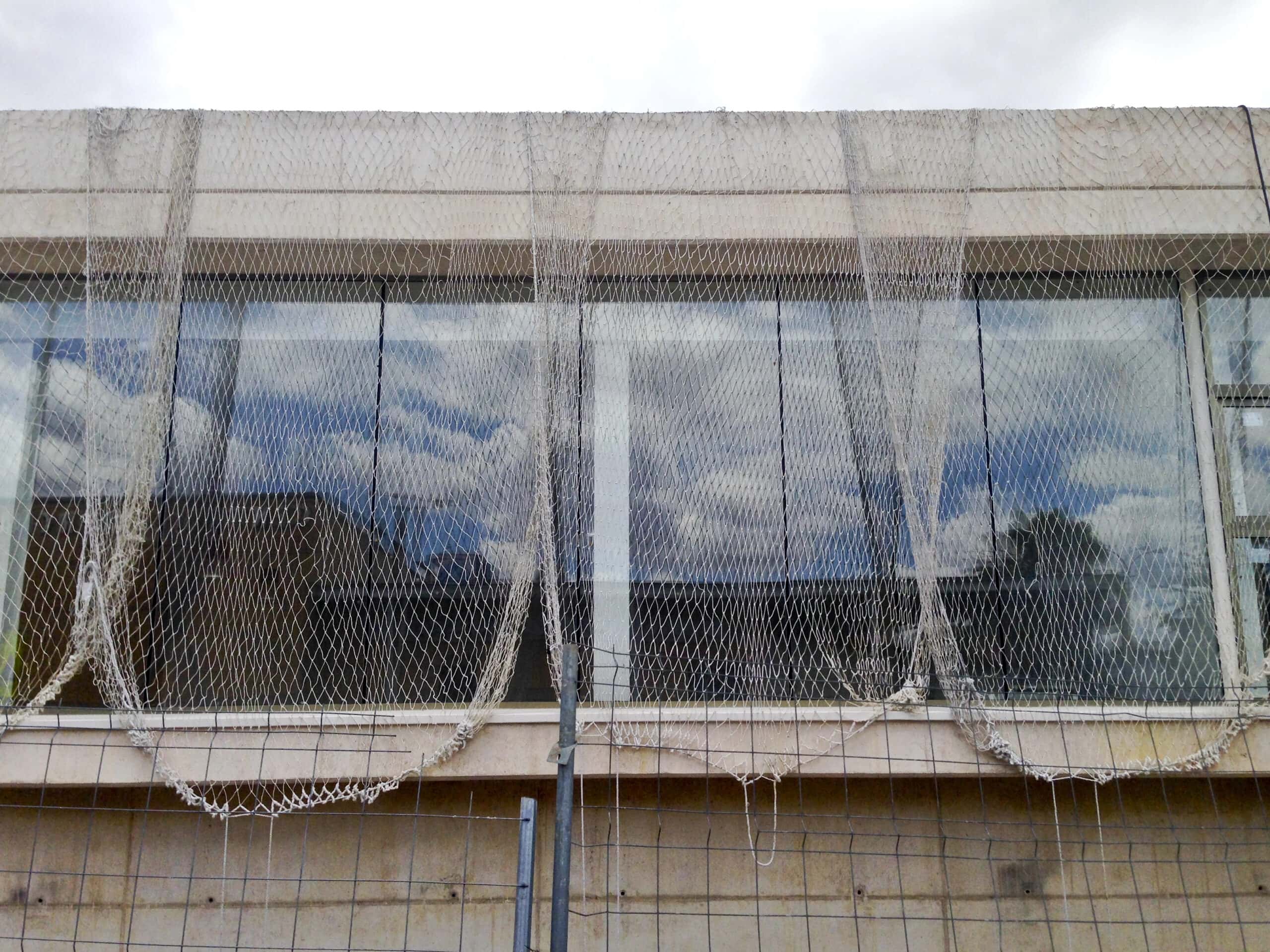 Bird exclusion netting protecting a commercial property