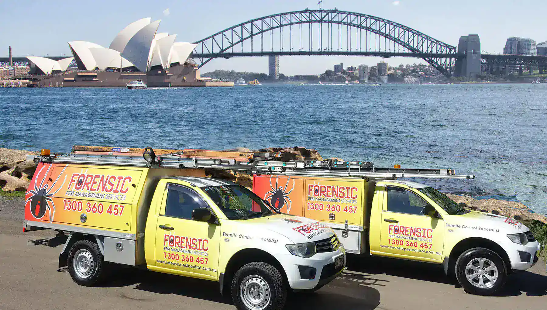 Forensic Pest Management trucks by Sydney Cambridge Park, Opera House and Bridge behind, trusted.
