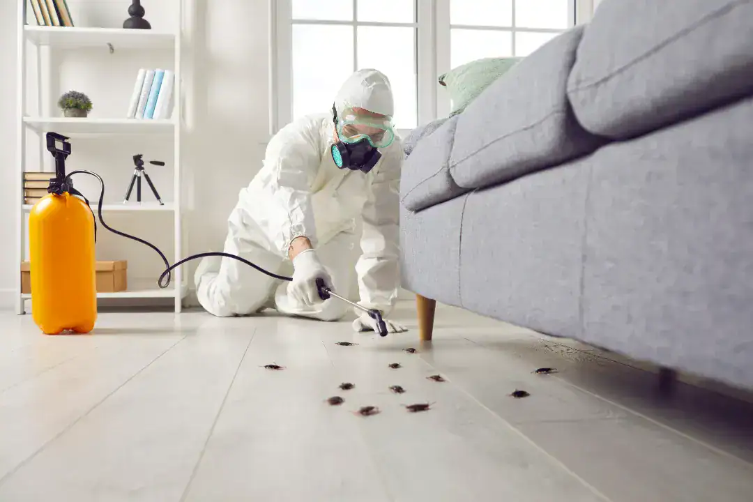 General pest control treatment protecting a rental property from common household pests